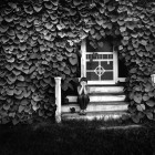 View "Boy on a porch covered with Dutchman's Pipe vine"